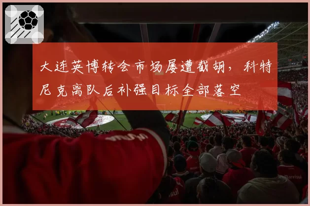 大连英博转会市场屡遭截胡,科特尼克离队后补强目标全部落空