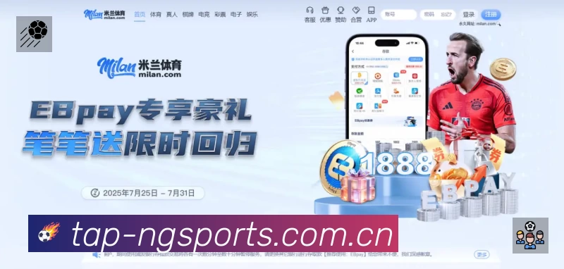 NG体育安全运营支持